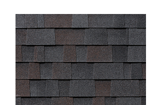 Black Oak